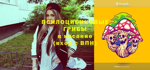 не бодяженный Алексин