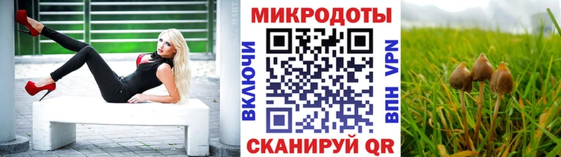 Псилоцибиновые грибы прущие грибы  Кукмор 